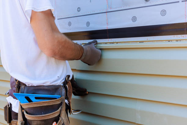 Affordable Emergency Siding Repair solutions in Louisburg, NC